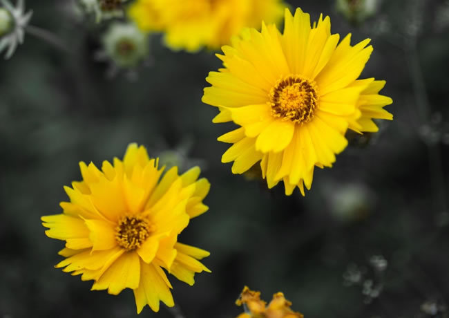 等离子火焰切割